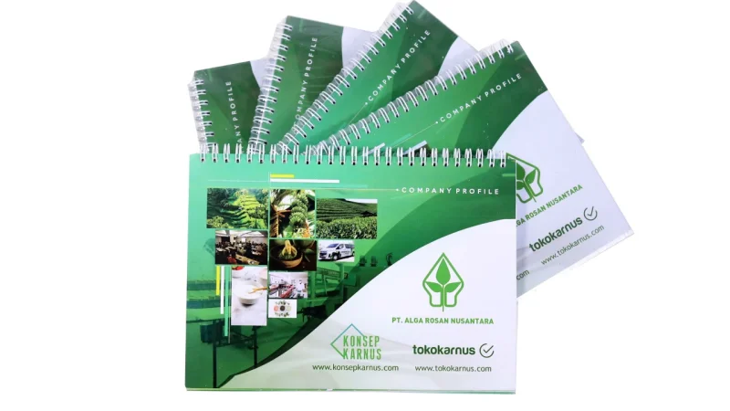 Product image of Visual Aids